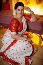 প্রিমিয়াম জামদানি সিল্ক শাড়ী + ব্লাউজ পিছ (Code#SK-405) - Image 5