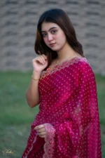 প্রিমিয়াম ইন্ডিয়ান স্টোনের জর্জেট পার্টি শাড়ি (রাণী গোলাপী ) - Image 4